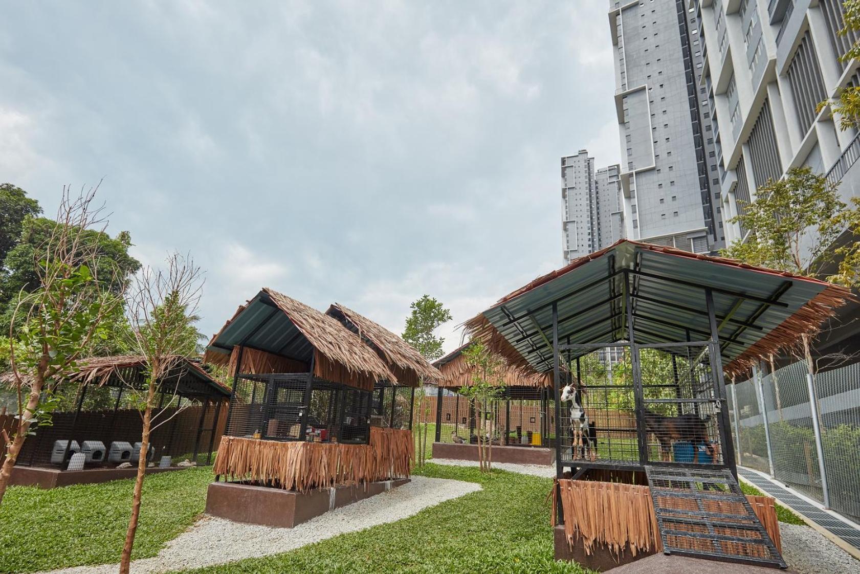 Comfy Private With Infinity Pool Homestay Kuala Lumpur